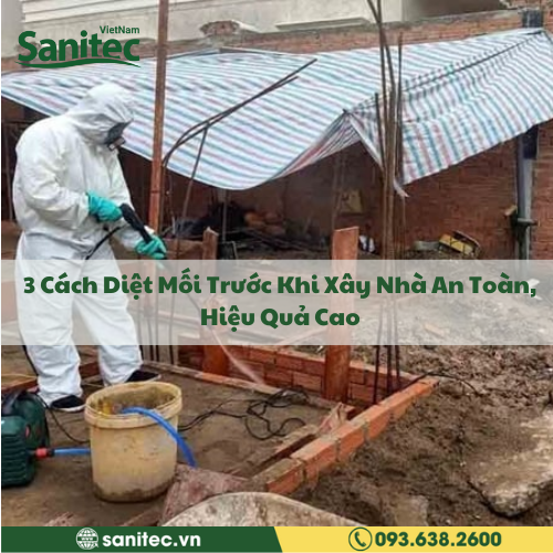 3 Cách Diệt Mối Trước Khi Xây Nhà An Toàn, Hiệu Quả Cao